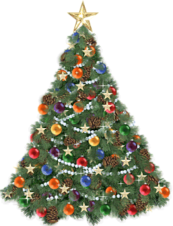 Merry Christmas & Happy New Year!
